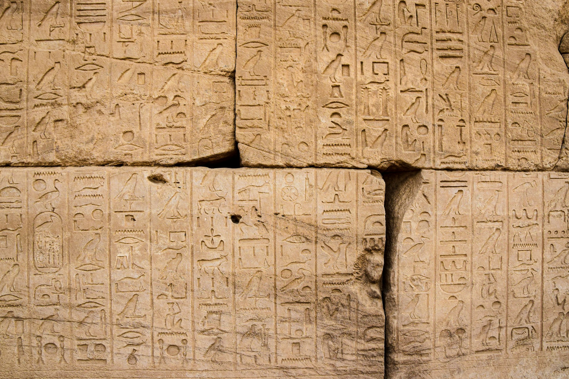 A journey through the history of writing